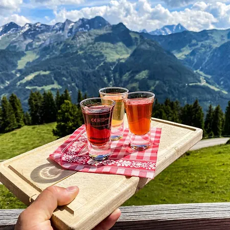 Apparthaus Anderl * Zellbergeben